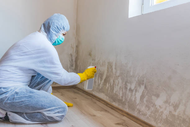 Licensed Mold Inspection service in Crofton, MD - WQB Mold Removal