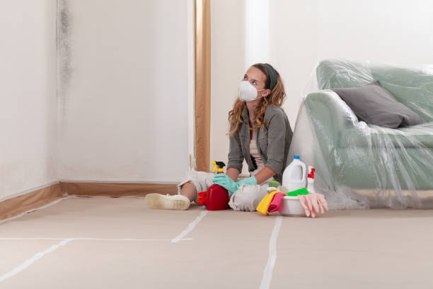 Reliable Mold Inspection contractor in Crofton, MD by WQB Mold Removal